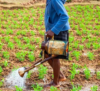 AGRICULTURE